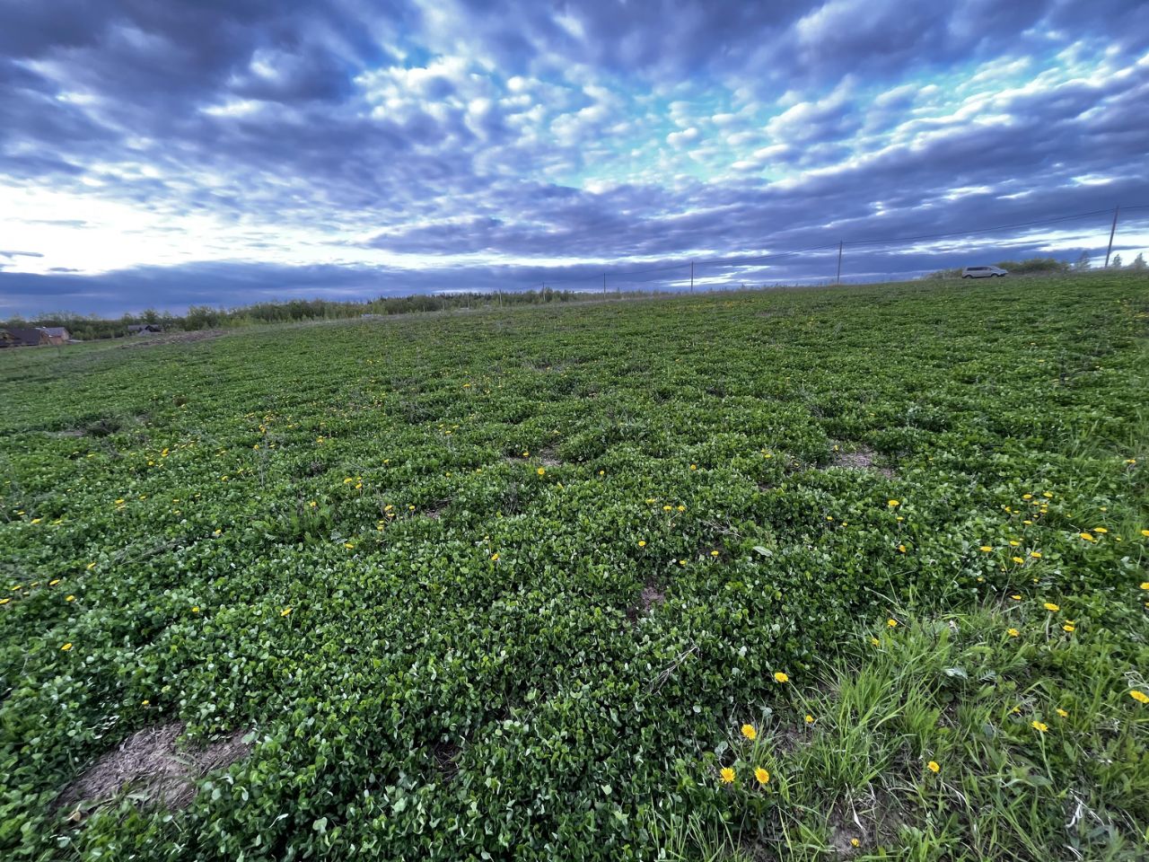 Купить участок 50сот. ул. Полевая, Московская область, Луховицы ...