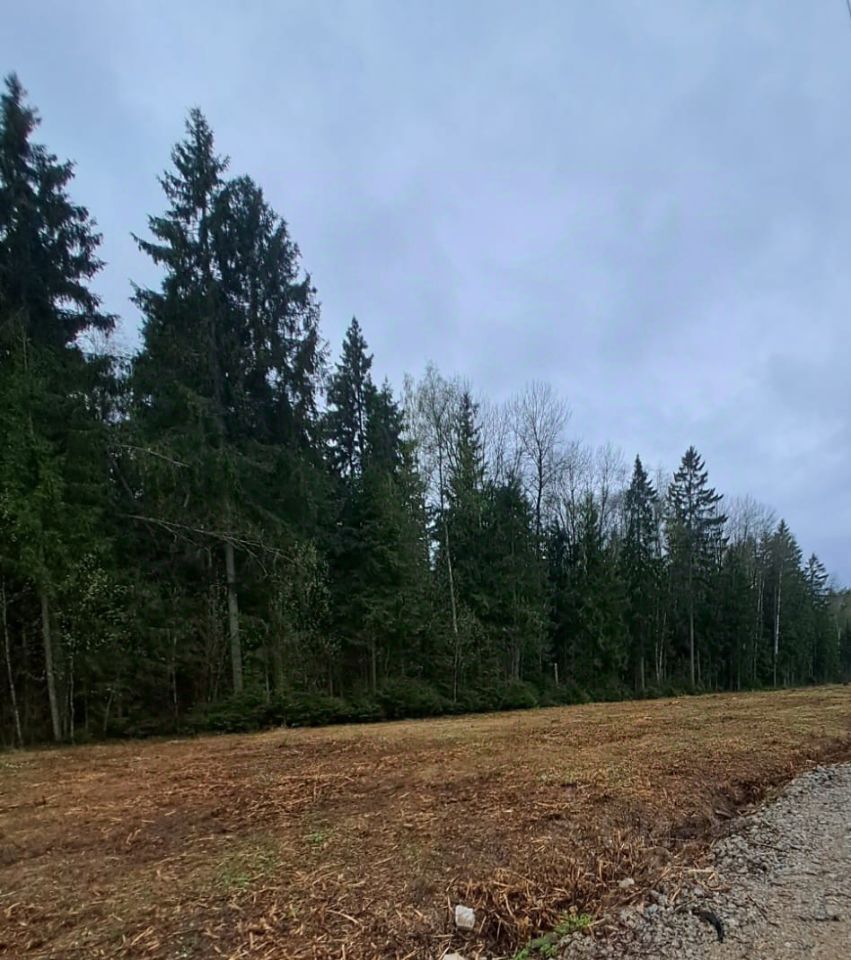 Купить загородную недвижимость в садовое товарищество Водолей городского  округа Одинцовского, продажа загородной недвижимости - база объявлений  Циан. Найдено 4 объявления