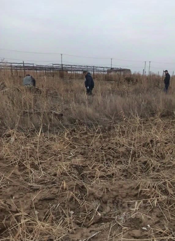 Купить Землю В Волжском Волгоградской Области