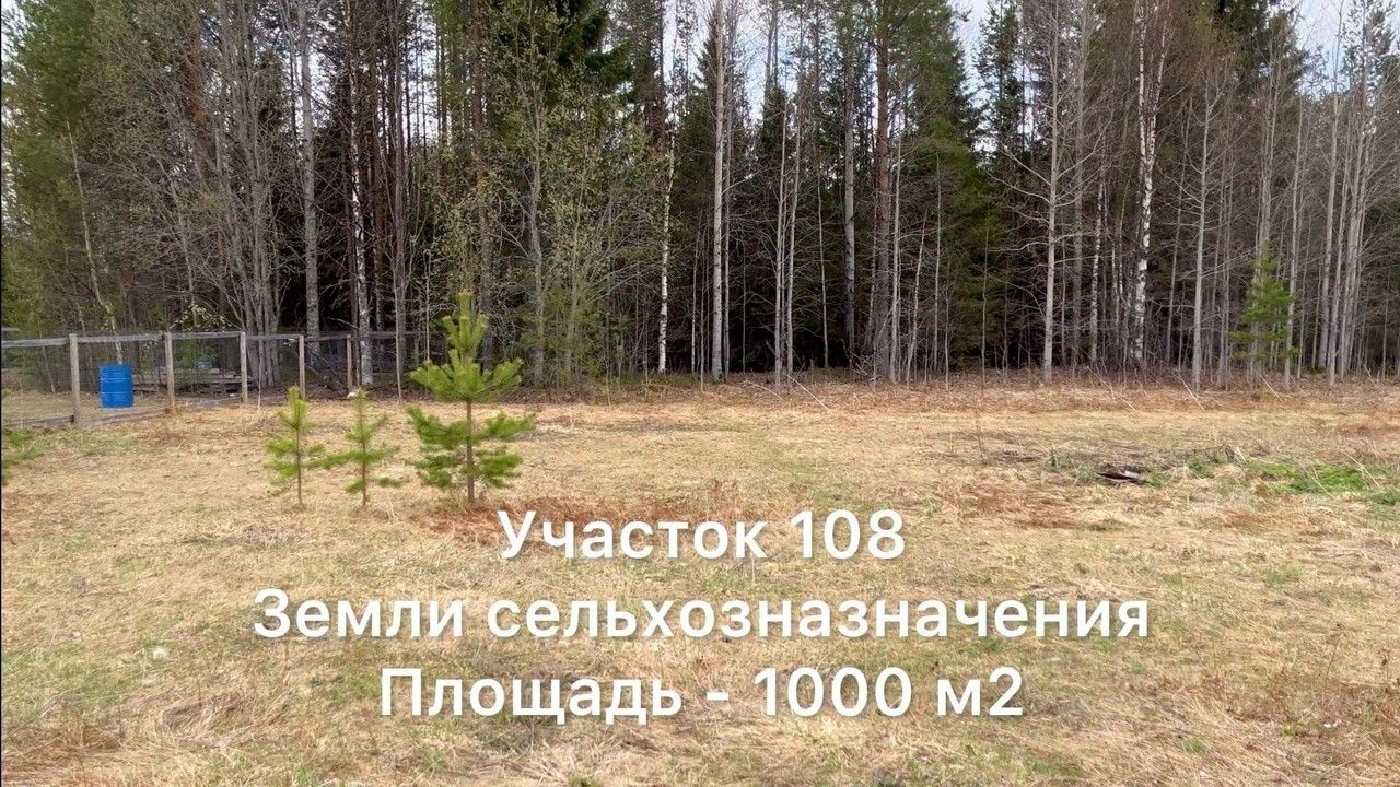 Купить участок в деревне в Архангельской области, продажа участков в  деревне. Найдено 18 объявлений.