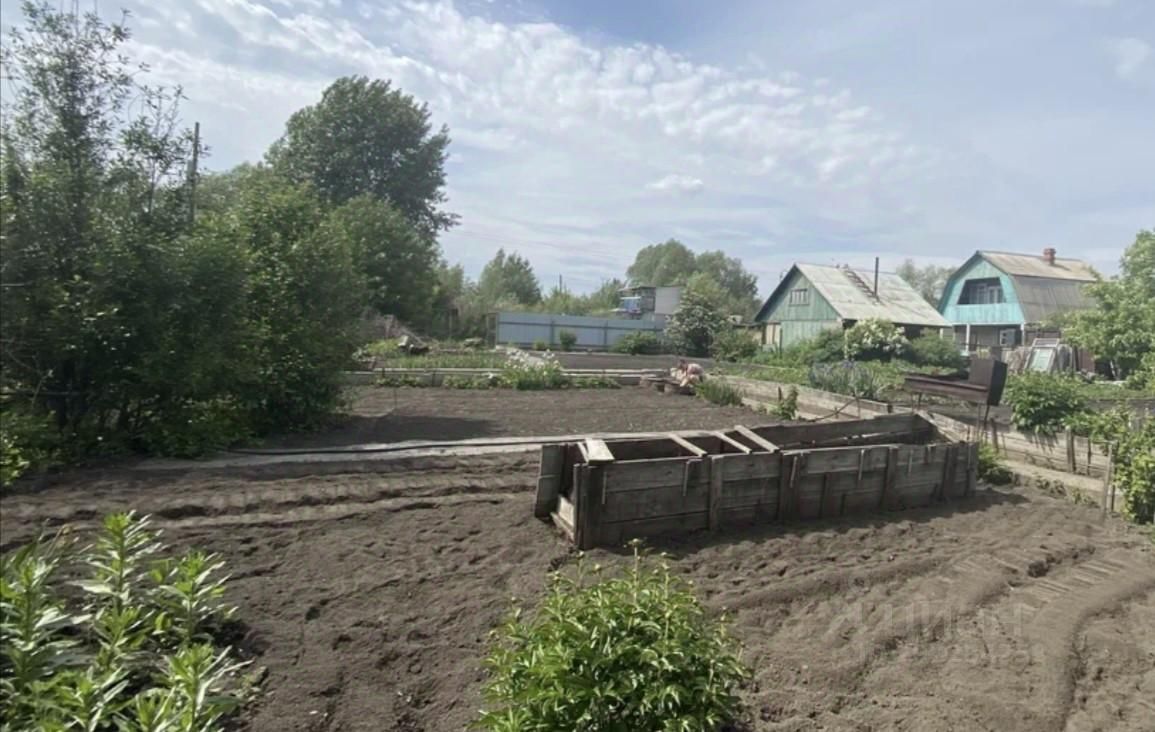 Купить загородную недвижимость в СНТ Восход Мошковского района, продажа  загородной недвижимости - база объявлений Циан. Найдено 2 объявления