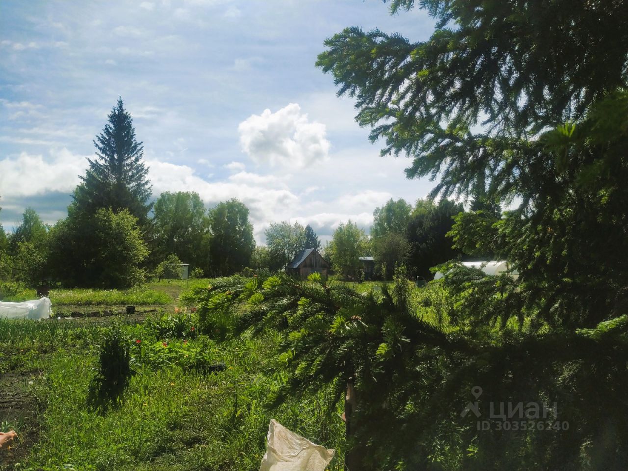 Купить загородную недвижимость в станции Восточная в сельсовет Репьевский,  продажа загородной недвижимости - база объявлений Циан. Найдено 1 объявление