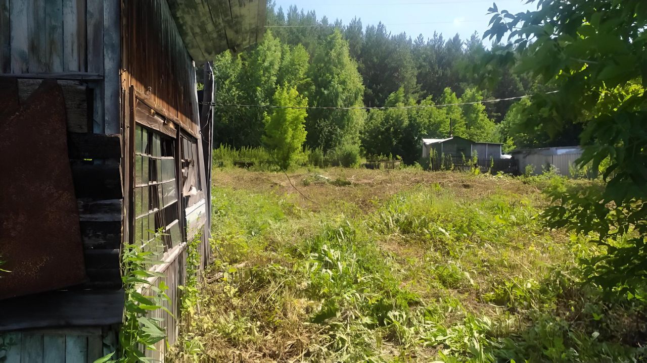 На фотографии виден участок земли с частично заросшей растительностью. Стены строений выполнены из дерева, с различными оттенками, от светлого до темного. Некоторые элементы конструкции, такие как окна, имеют деревянные рамы, а также виден металлический элемент, возможно, часть крыши или стены. Участок окружен зелеными деревьями, создающими ощущение уединенности. Вдали видны другие постройки, которые могут служить хозяйственными или жилыми помещениями. Общая атмосфера пространства передает ощущение спокойствия и близости к природе.