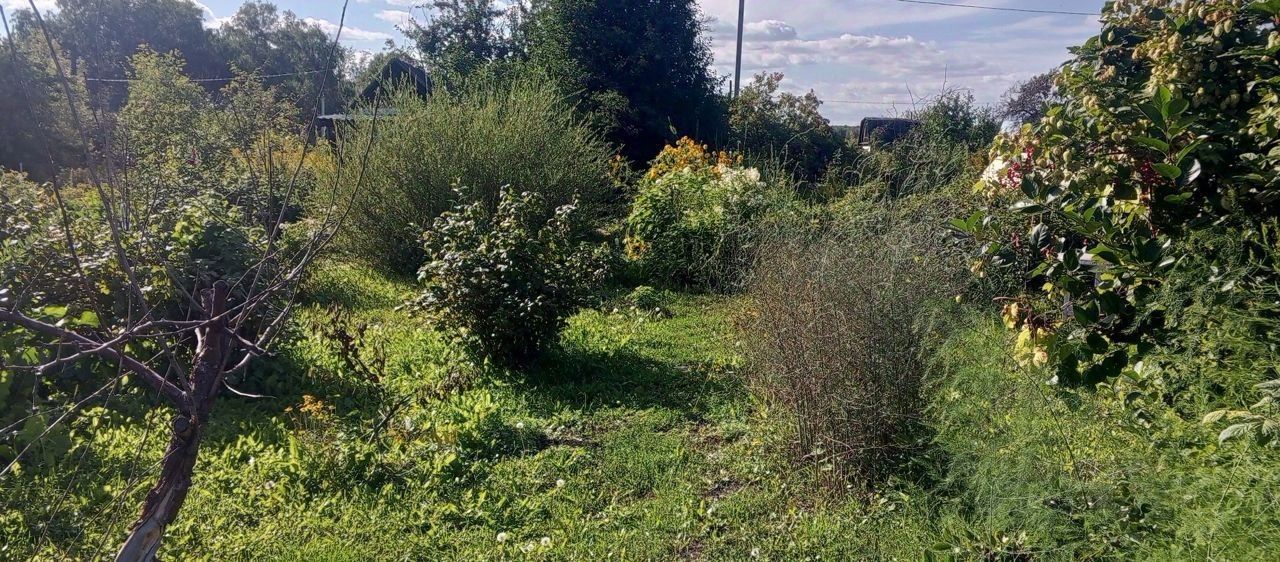 Видно ухоженное пространство с разнообразной растительностью, включая кустарники и цветы. Зелёные травы создают естественный ландшафт, а также видны деревья и небольшие растения. Структура сада организована, с дорожками, ведущими через зелёные насаждения. Основные цвета — зелёный, с яркими акцентами от цветущих растений. Материалы включают натуральные элементы, такие как земля и растительность, что придаёт пространству естественный вид. Общая атмосфера спокойная и уютная, подходящая для отдыха на свежем воздухе.