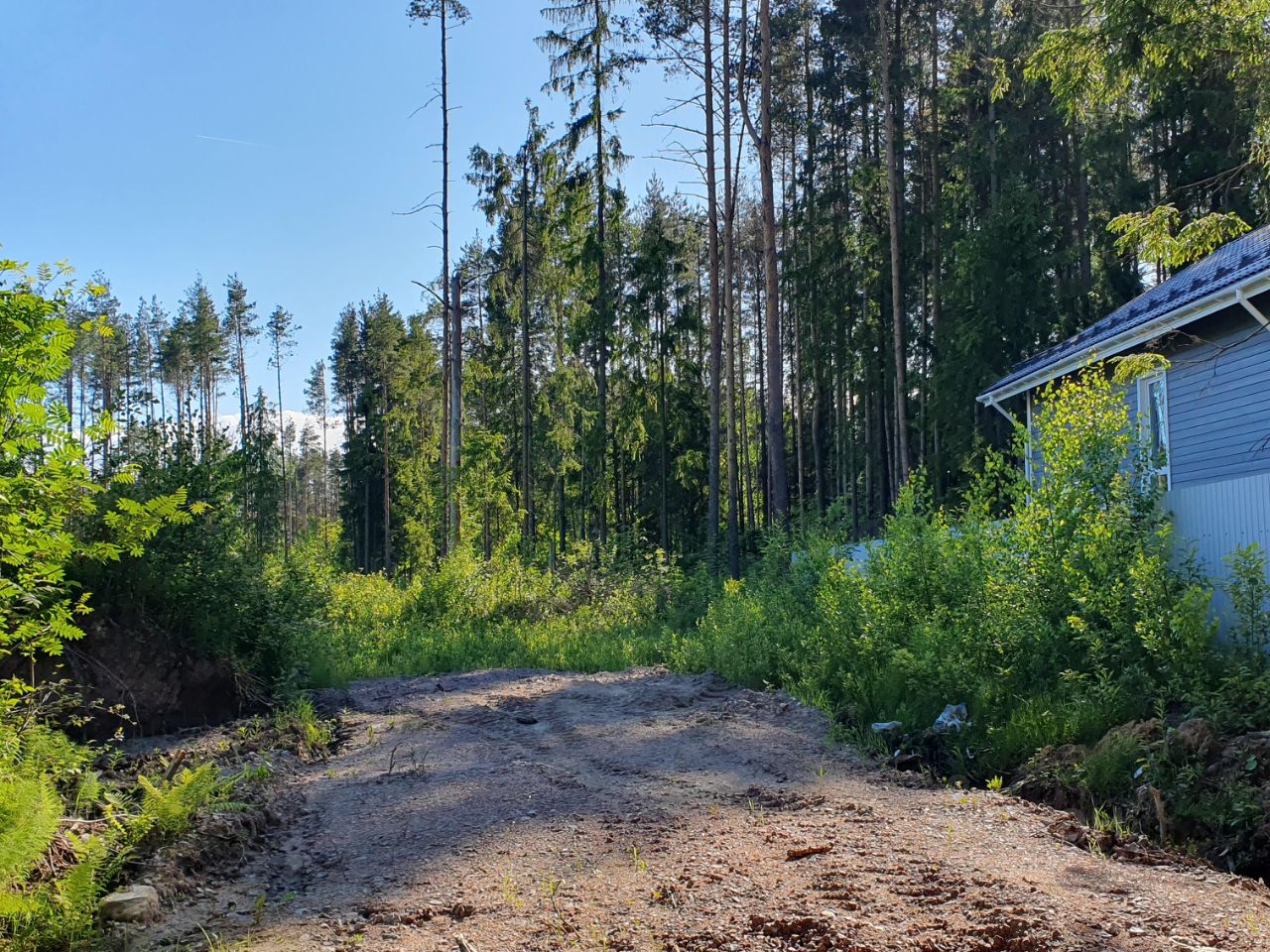 Купить земельный участок на улице Пироговская в городе Всеволожск, продажа  земельных участков - база объявлений Циан. Найдено 1 объявление