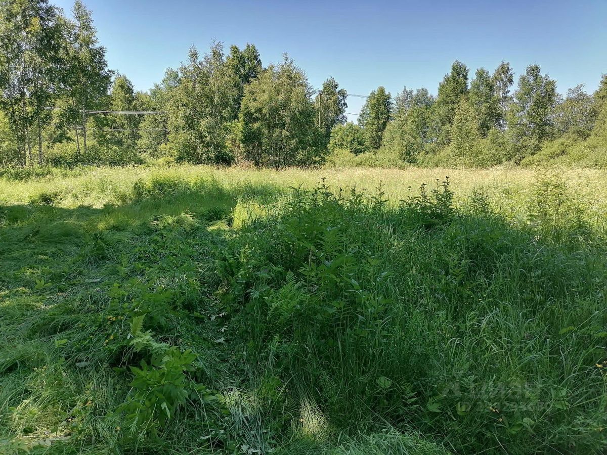 Купить земельный участок в микрорайоне Сайменский в городе Выборг, продажа  земельных участков - база объявлений Циан. Найдено 18 объявлений