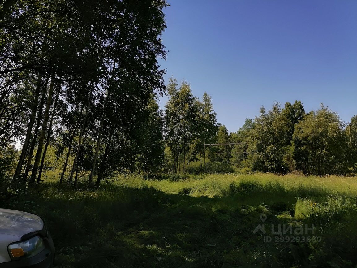 Купить земельный участок в микрорайоне Сайменский в городе Выборг, продажа  земельных участков - база объявлений Циан. Найдено 18 объявлений