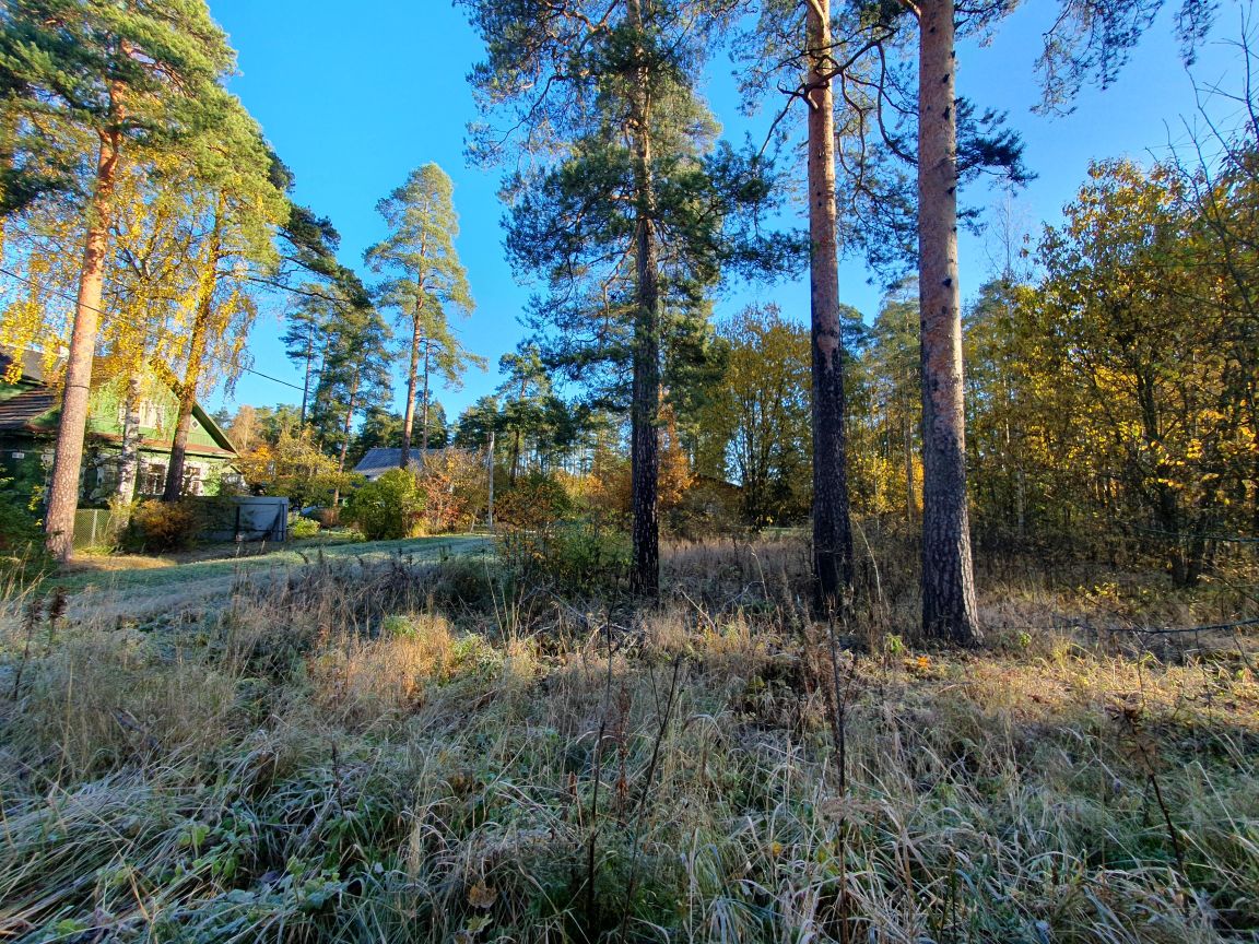 Купить участок 12сот. ул. Петроградская, Ленинградская область ...