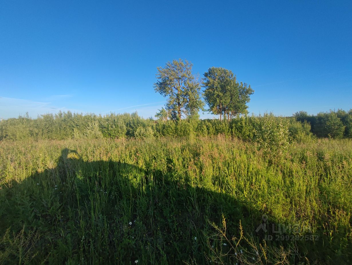 Купить загородную недвижимость в деревне Заостровье Ломоносовского района,  продажа загородной недвижимости - база объявлений Циан. Найдено 6 объявлений