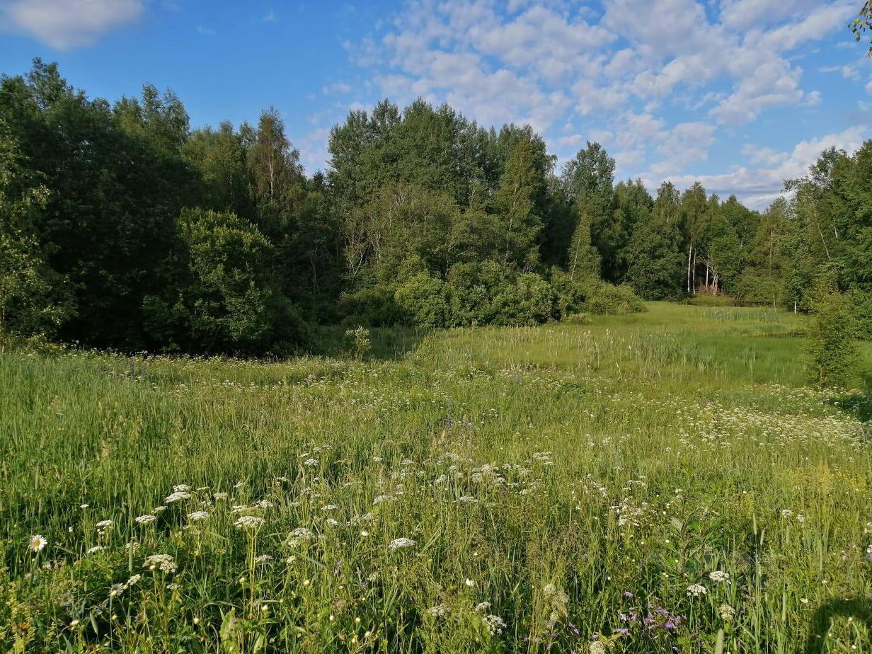 Купить загородную недвижимость в деревне Заполье Лужского района, продажа  загородной недвижимости - база объявлений Циан. Найдено 3 объявления