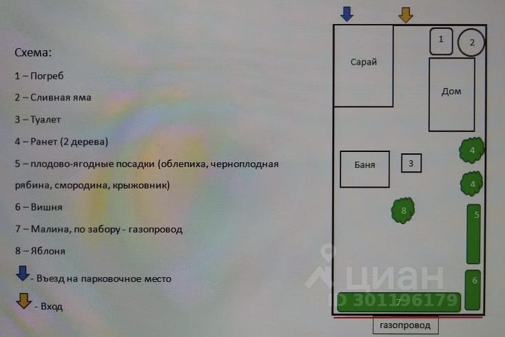 На схеме представлено планировочное решение участка с различными функциональными зонами. Видны основные строения: дом, сарай и баня. Указаны места для туалета и сливной ямы. Зеленые зоны обозначают плодово-ягодные посадки, такие как вишня и малина. Также выделены участки для яблонь. Каждый элемент имеет четкую маркировку, что позволяет легко ориентироваться в пространстве. Используемые цвета на схеме помогают выделить различные зоны и их назначение, создавая понятное представление о планировке участка.