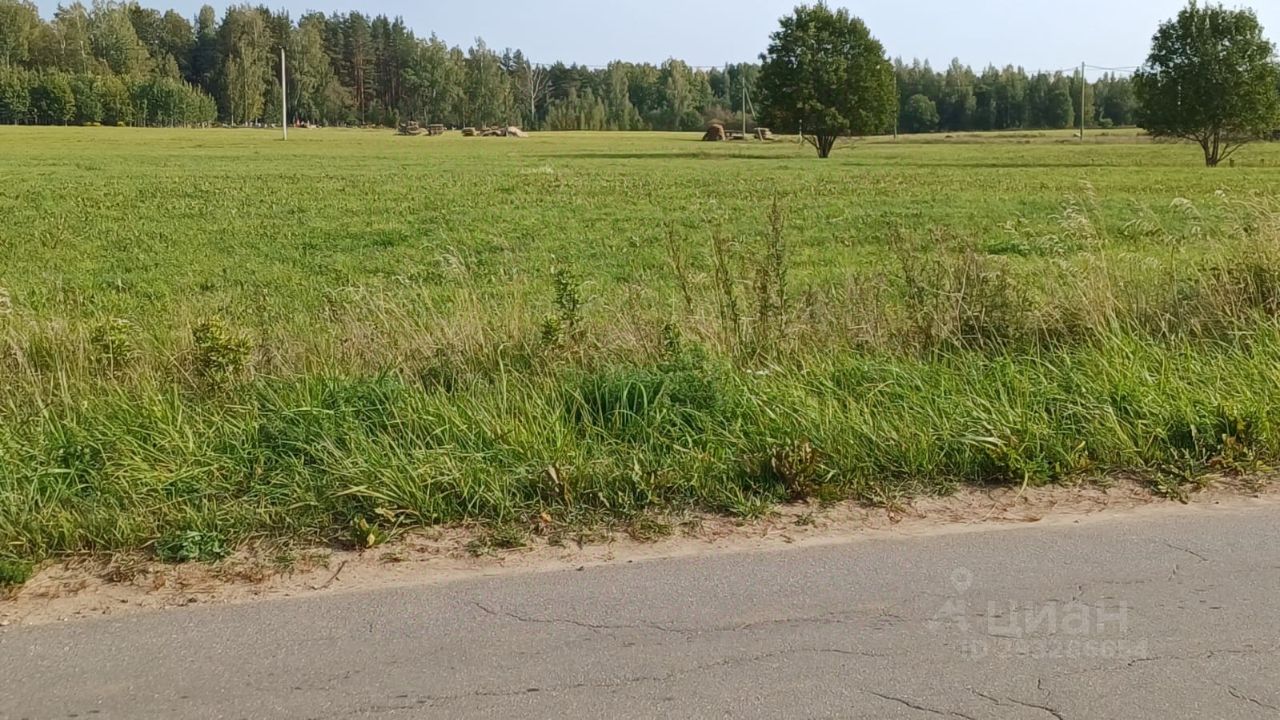 Купить земельный участок на улице Центральная в деревне Зайцево в городском  поселении Дружногорское, продажа земельных участков - база объявлений Циан.  Найдено 2 объявления