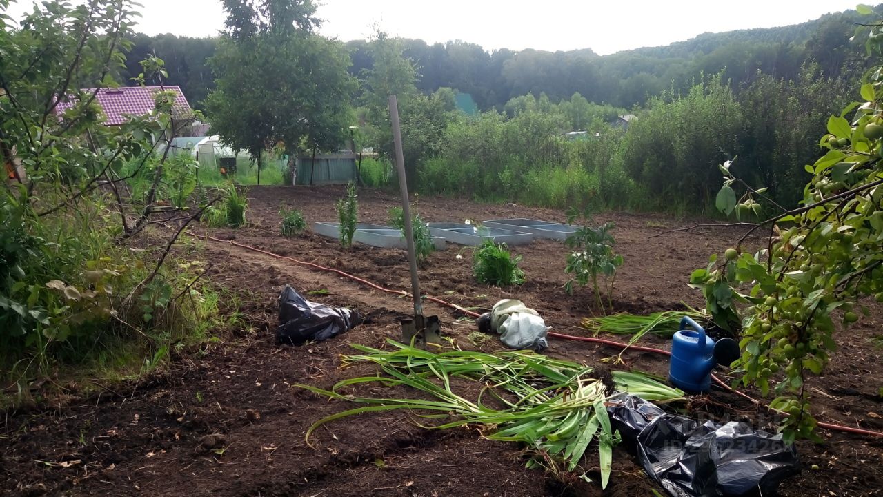 Купить земельный участок в СНТ Зеленчиха в городе Новокузнецк, продажа  земельных участков - база объявлений Циан. Найдено 4 объявления