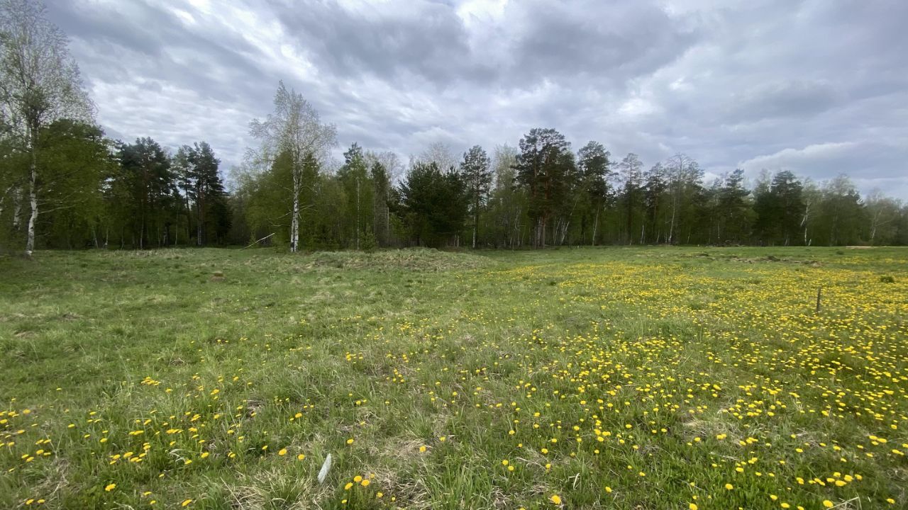 Купить загородную недвижимость в поселке Зеленый Лог Свердловской области,  продажа загородной недвижимости - база объявлений Циан. Найдено 13  объявлений