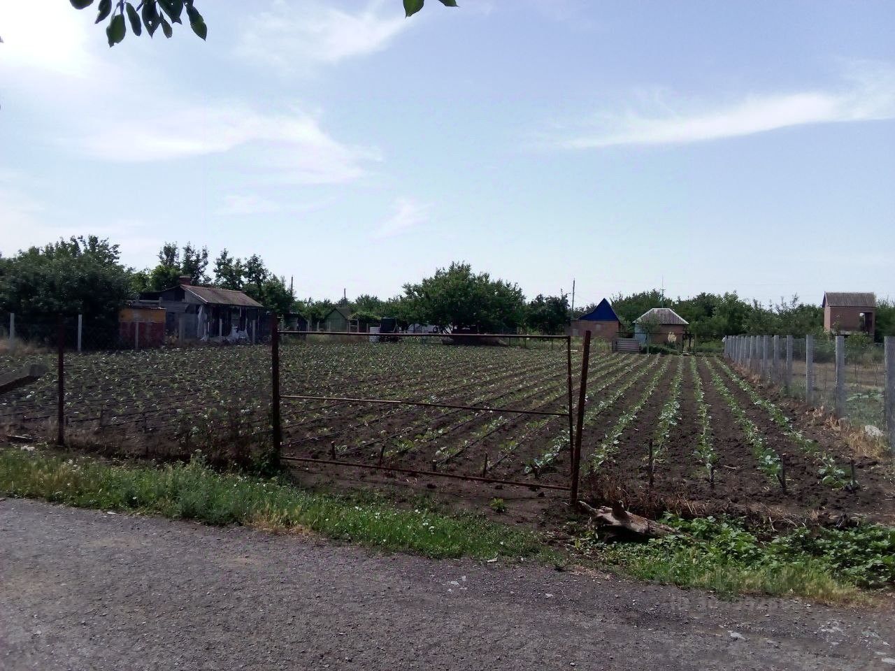 Купить земельный участок в СНТ Железнодорожник в городе Сальск, продажа  земельных участков - база объявлений Циан. Найдено 3 объявления