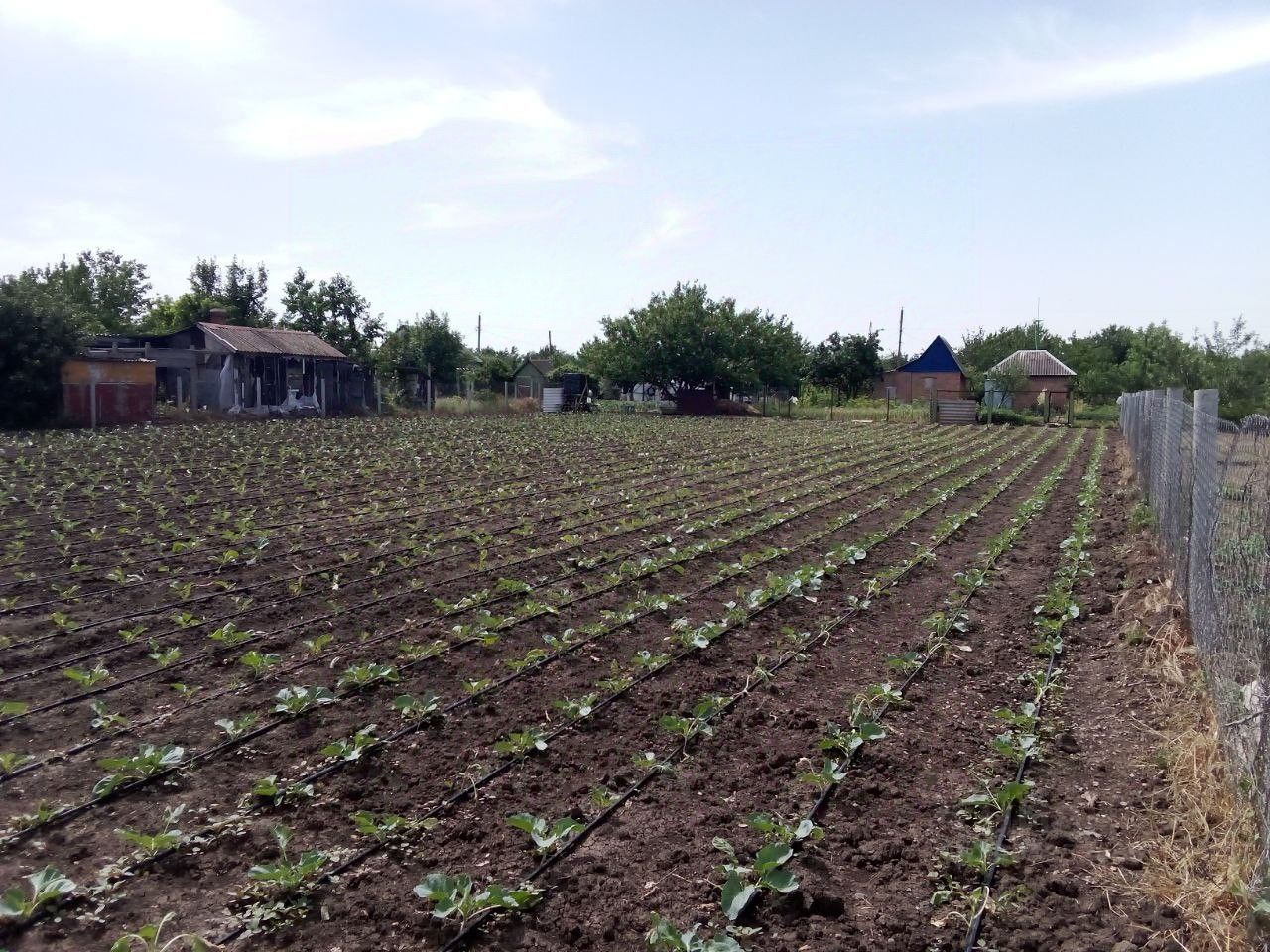 Купить земельный участок в СНТ Железнодорожник в городе Сальск, продажа  земельных участков - база объявлений Циан. Найдено 3 объявления