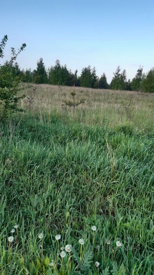 Продается участок в Липецке. Живописный вид, зелёные насаждения, идеальное место для строительства дома.