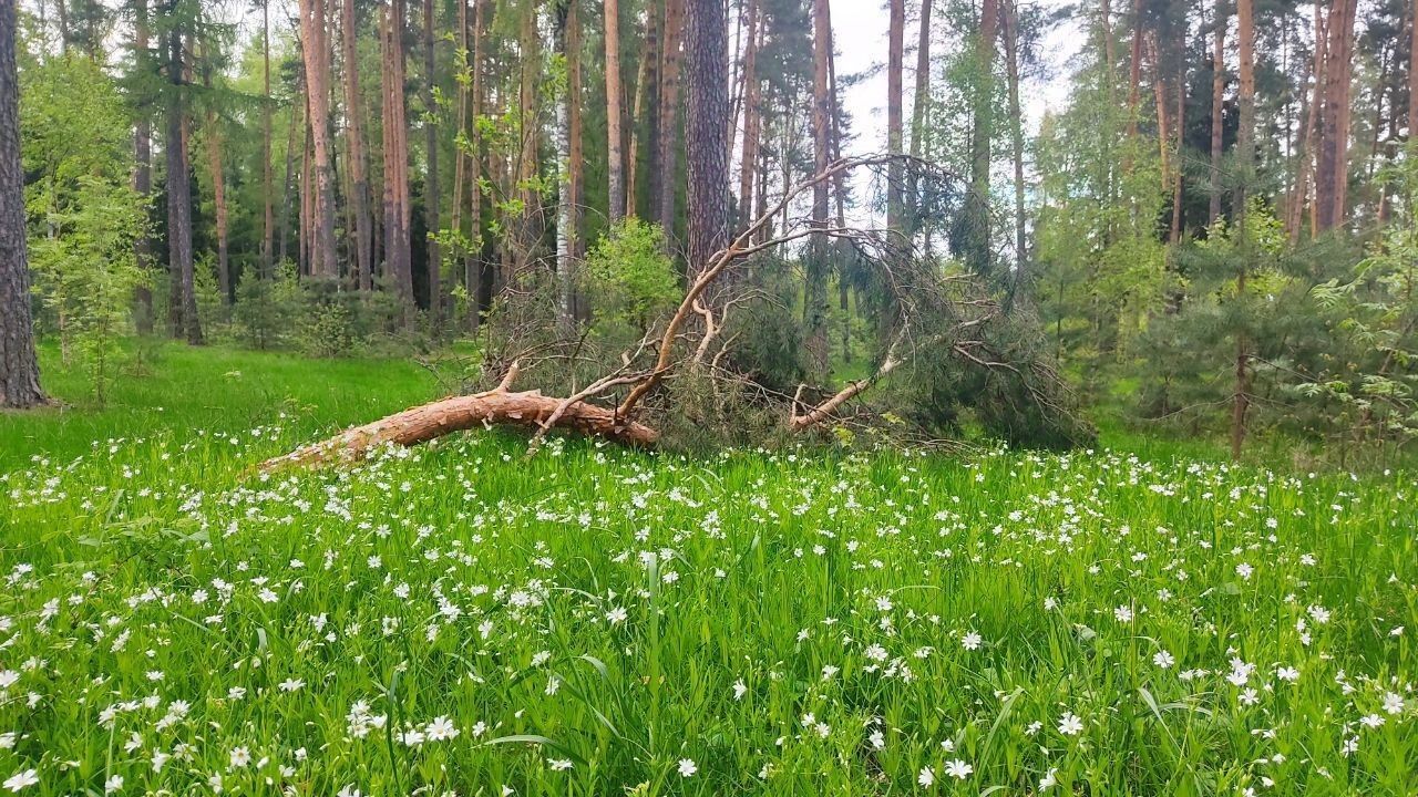 Купить загородную недвижимость в микрорайоне Злобино в городе Владимир,  продажа загородной недвижимости - база объявлений Циан. Найдено 2 объявления