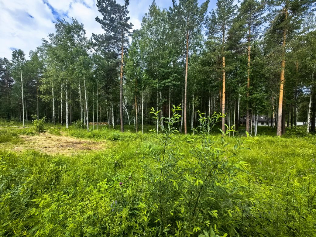 Купить дачный участок в городском округе Полевском Свердловской области,  продажа участков для дачи. Найдено 139 объявлений.