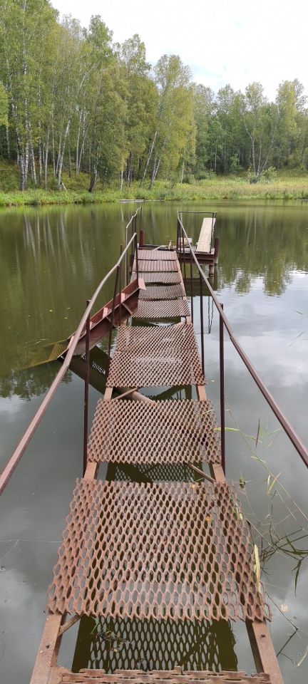На фото виден металлический мостик, ведущий к воде. Конструкция состоит из перфорированных металлических плит, которые обеспечивают видимость под мостом. Мостик имеет простую форму с поручнями по бокам, что делает его функциональным. Цвета варьируются от коричневого до ржавого, что указывает на некоторую степень износа. Вода спокойная и отражает окружающую зелень. По обеим сторонам мостика растут деревья, создавая атмосферу уединения и близости к природе.