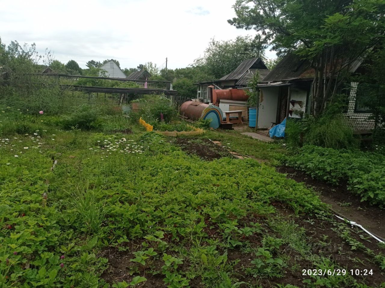 Купить земельный участок в СНТ № 2 в городе Зеленогорск, продажа земельных  участков - база объявлений Циан. Найдено 3 объявления