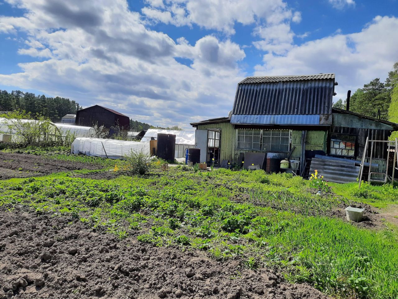 Купить дачу недорого в городском округе ЗАТО Железногорск Красноярского края.  Найдено 5 объявлений.