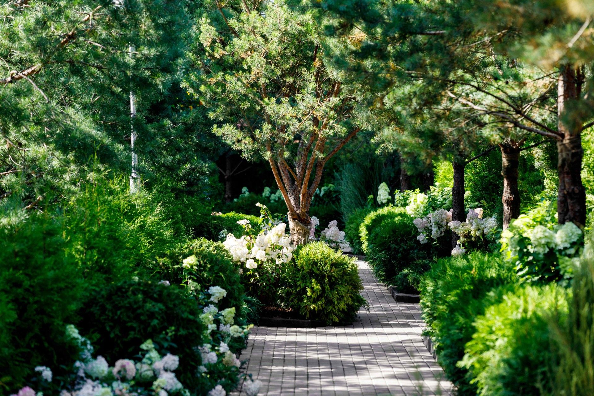 ЖК Внуково Кантри Клаб