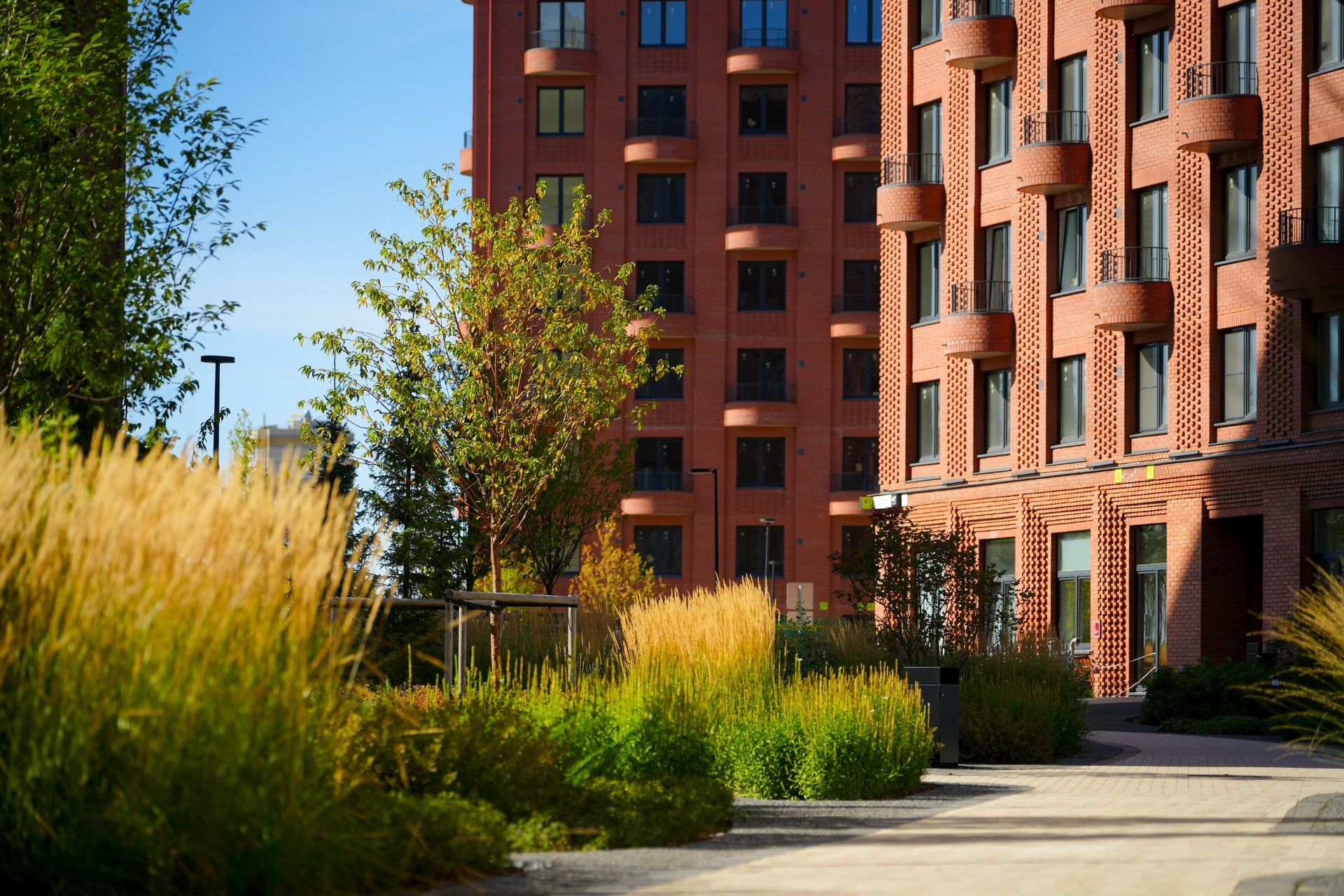 новостройки