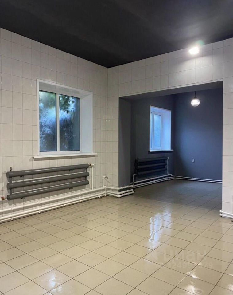 Здание в Амурская область, Благовещенск Пионерская ул., 132 (616 м²)