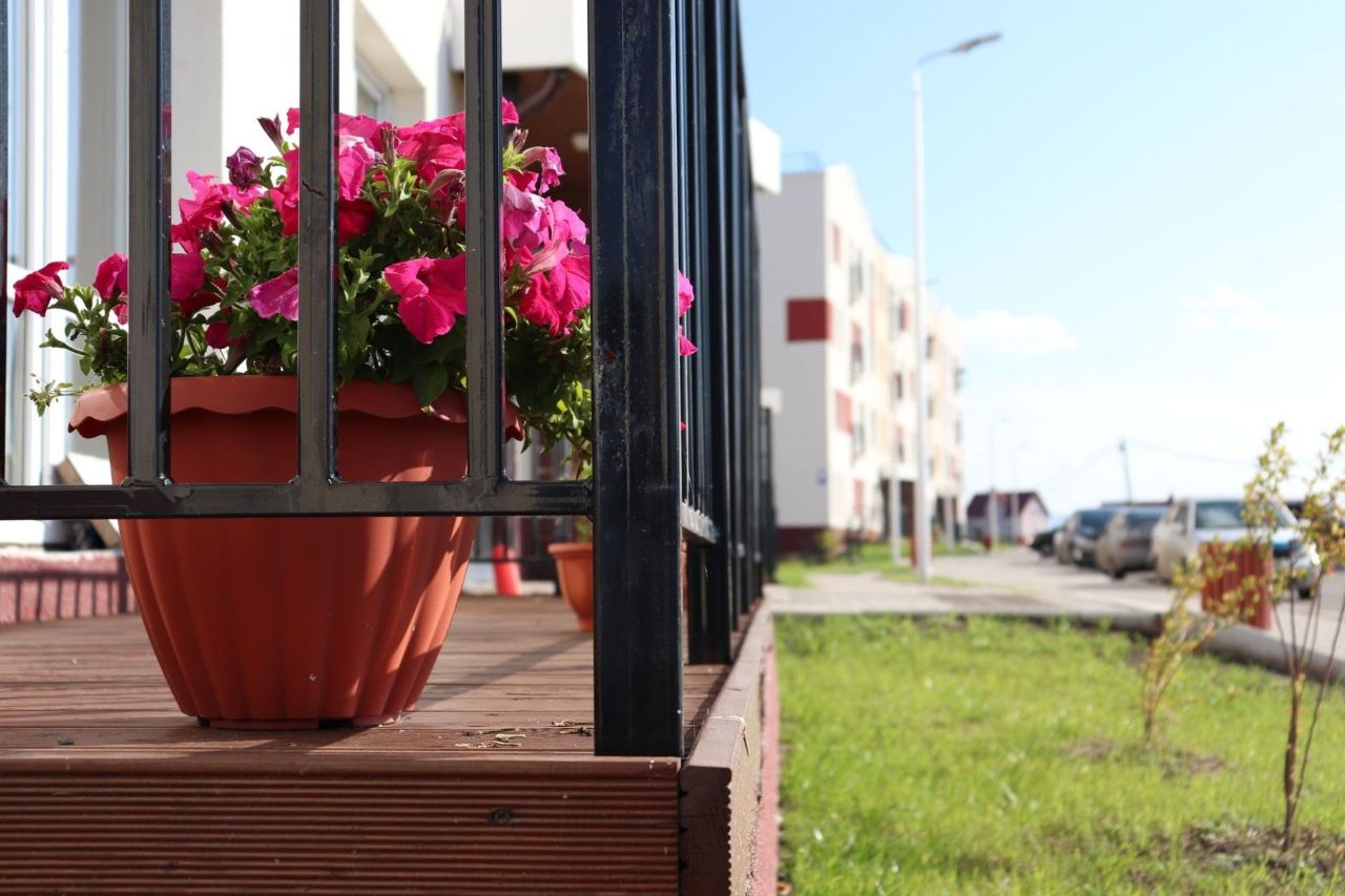 новостройки